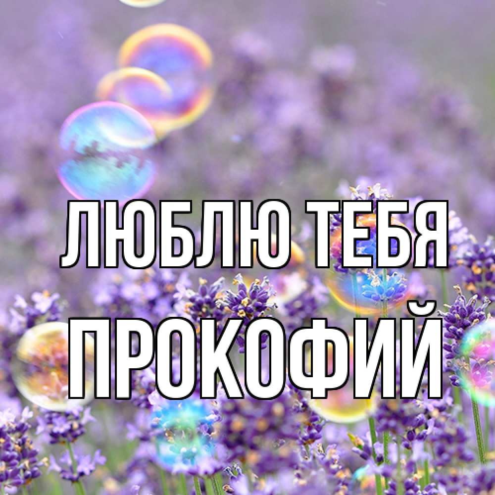 Открытка на каждый день с именем, Прокофий Люблю тебя цветы Прикольная открытка с пожеланием онлайн скачать бесплатно 