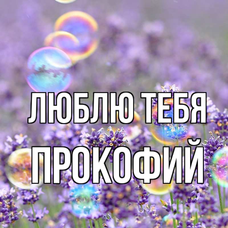Картинка Люблю тебя, Прокофий