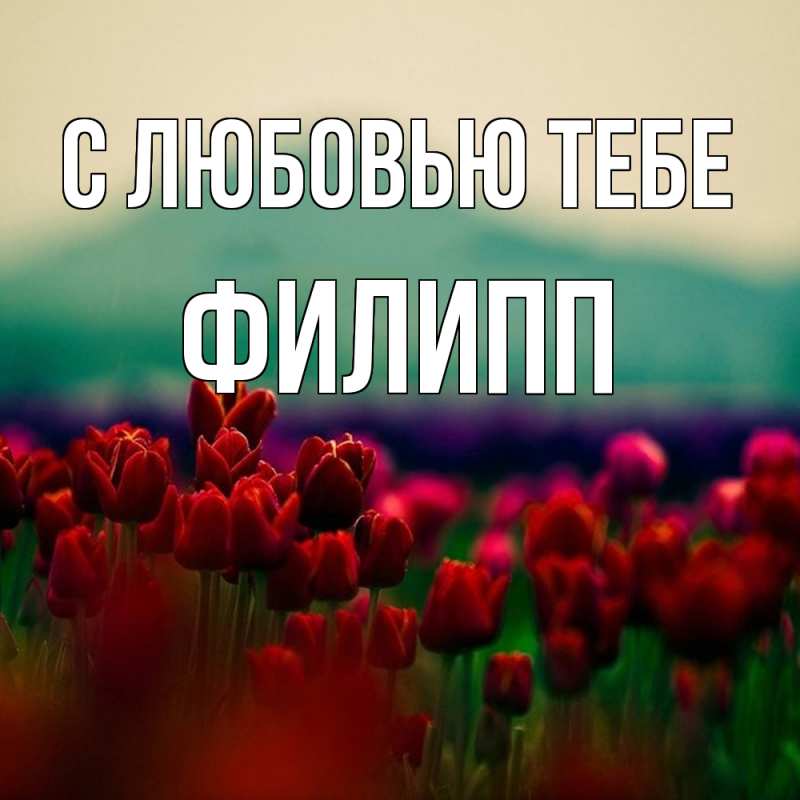 Картинка С любовью тебе, Филипп