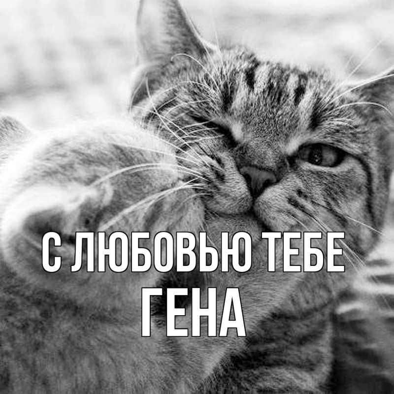 Картинка С любовью тебе, Гена