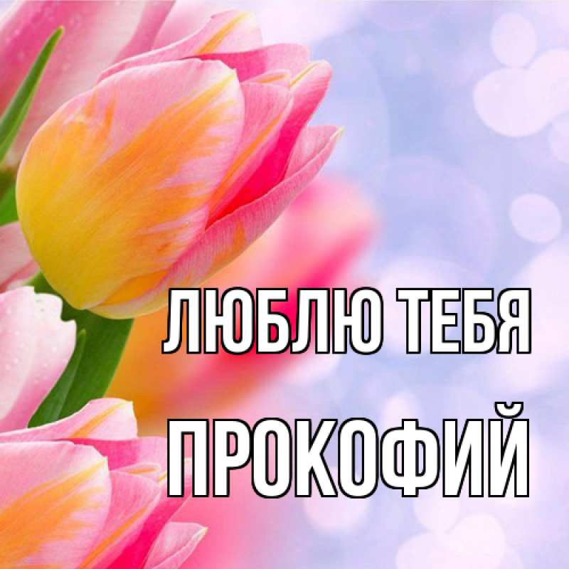 Картинка Люблю тебя, Прокофий