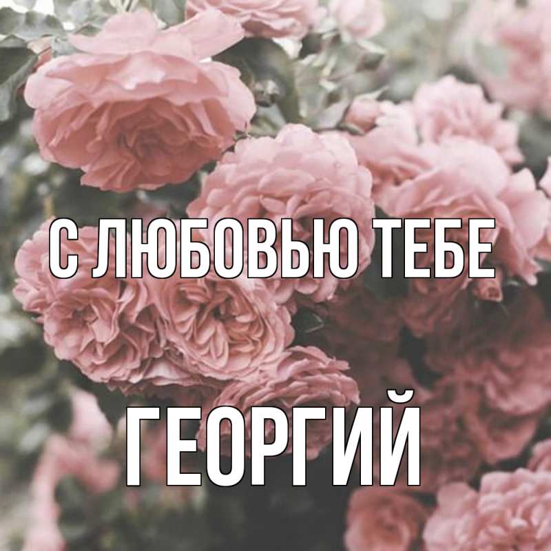 Картинка С любовью тебе, Георгий