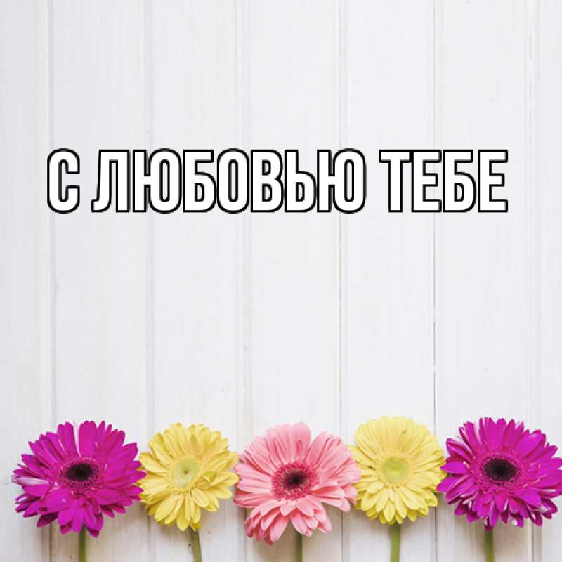 Картинка Люблю тебя, Ева