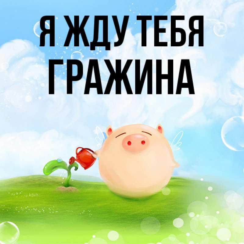 Картинка Я жду тебя, Гражина