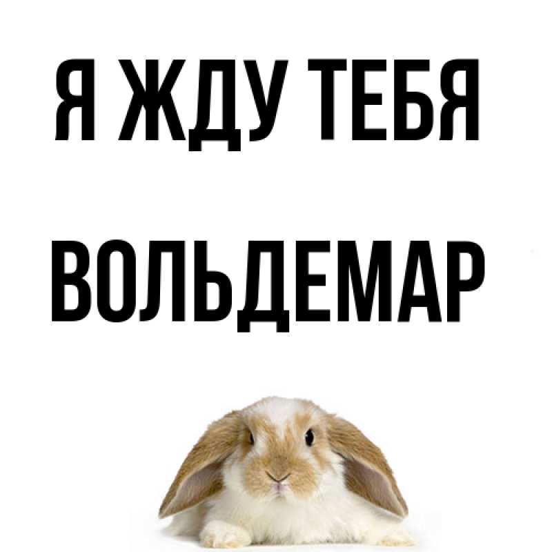 Картинка Я жду тебя, Вольдемар