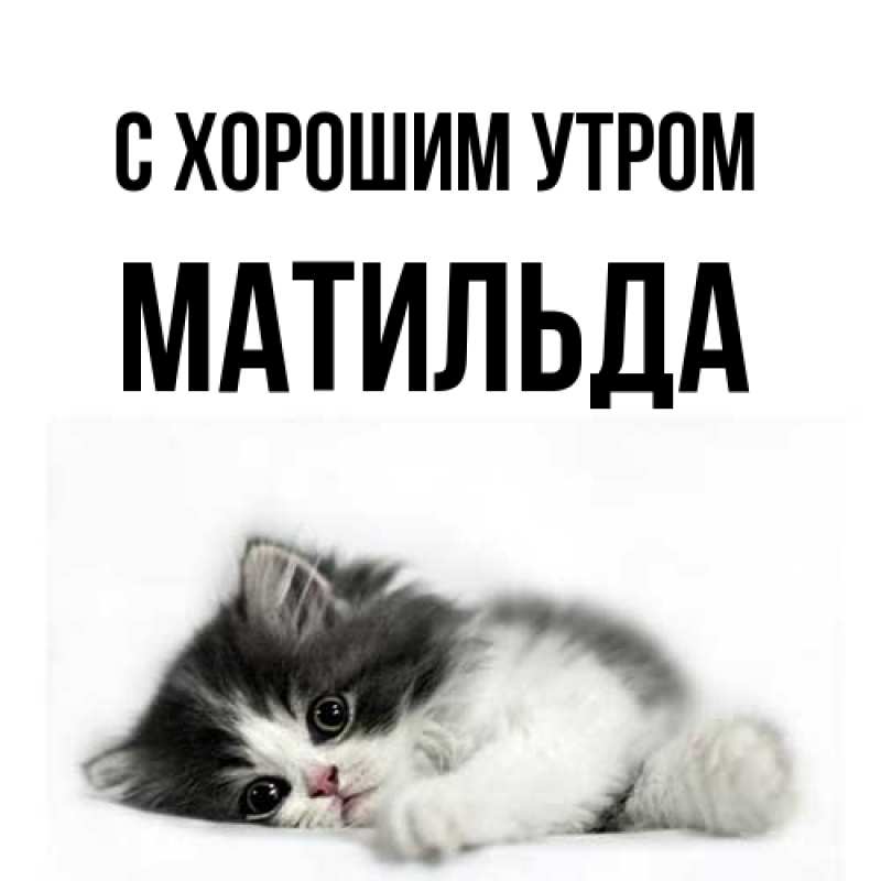 Картинка С хорошим утром, Матильда