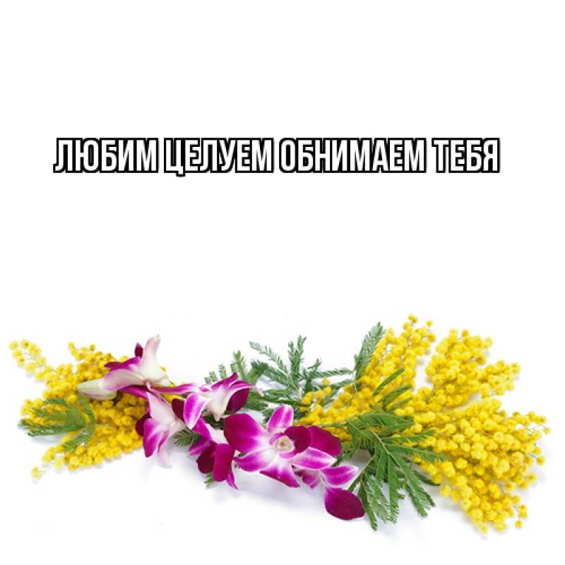 Картинка Люблю тебя, Ненаглядный мой