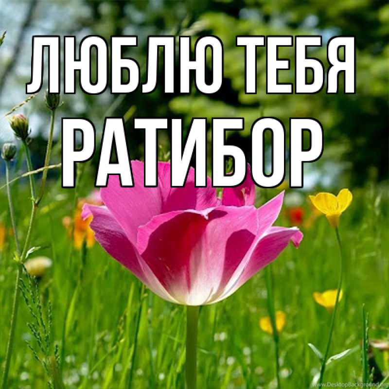 Картинка Люблю тебя, Ратибор