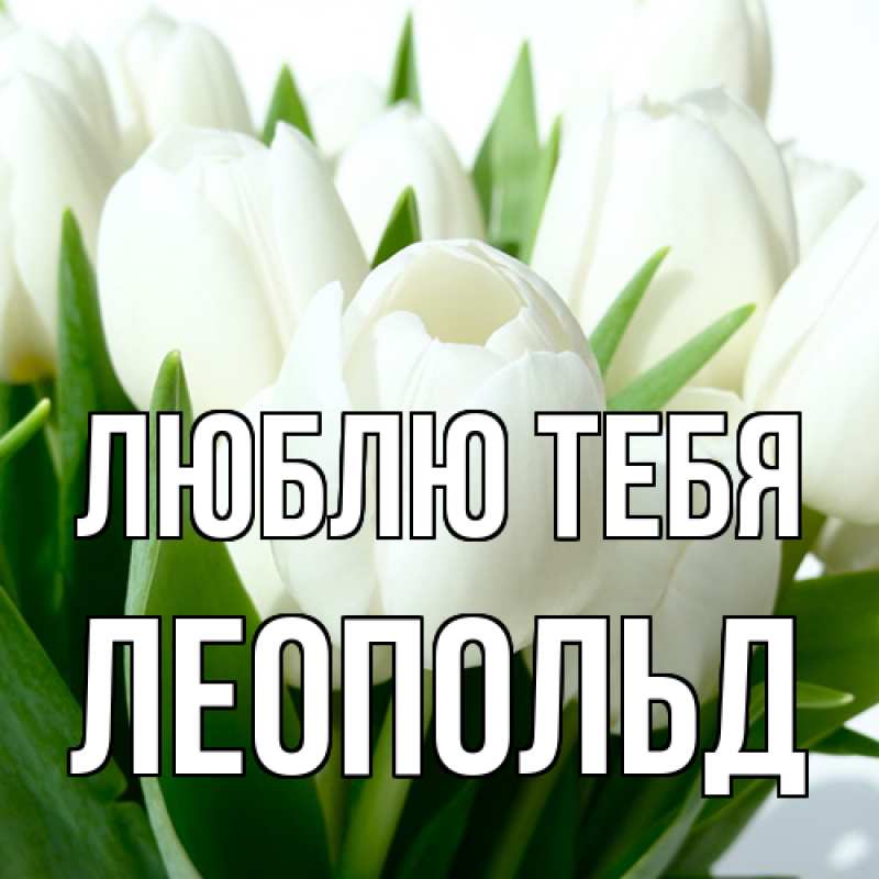 Картинка Люблю тебя, Леопольд