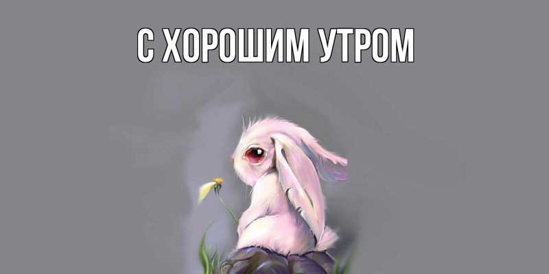 Картинка Скучашки, Дамира