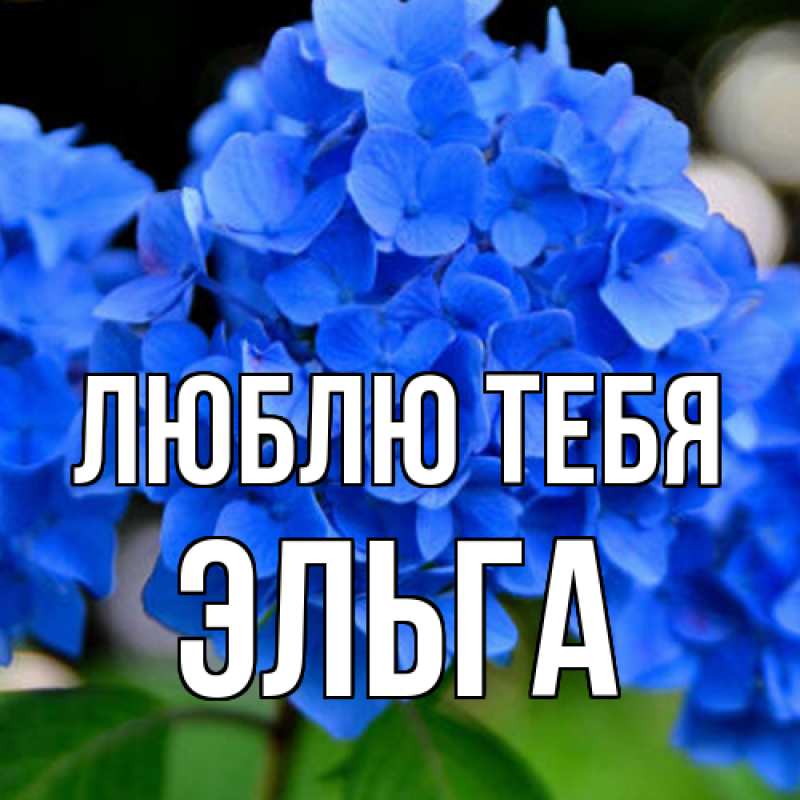 Картинка Люблю тебя, Эльга