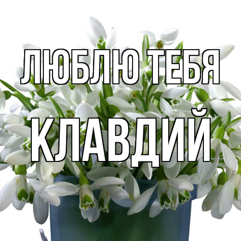 Открытка на каждый день с именем, Клавдий Люблю тебя цветы к международному женскому дню Прикольная открытка с пожеланием онлайн скачать бесплатно 