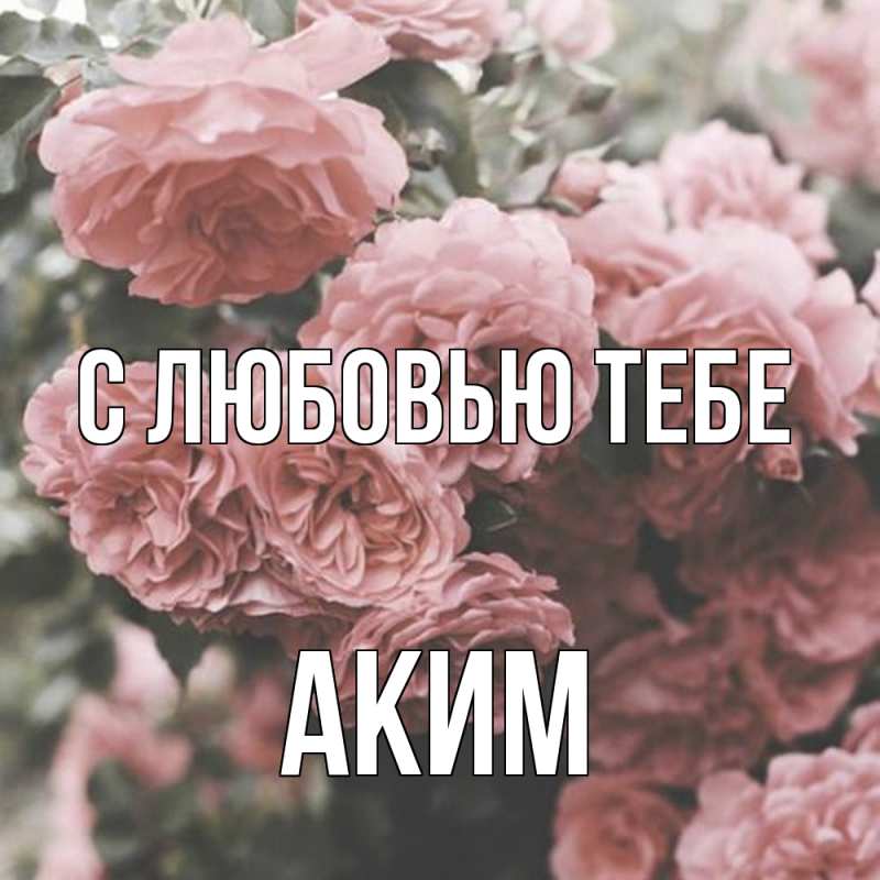 Картинка С любовью тебе, Аким
