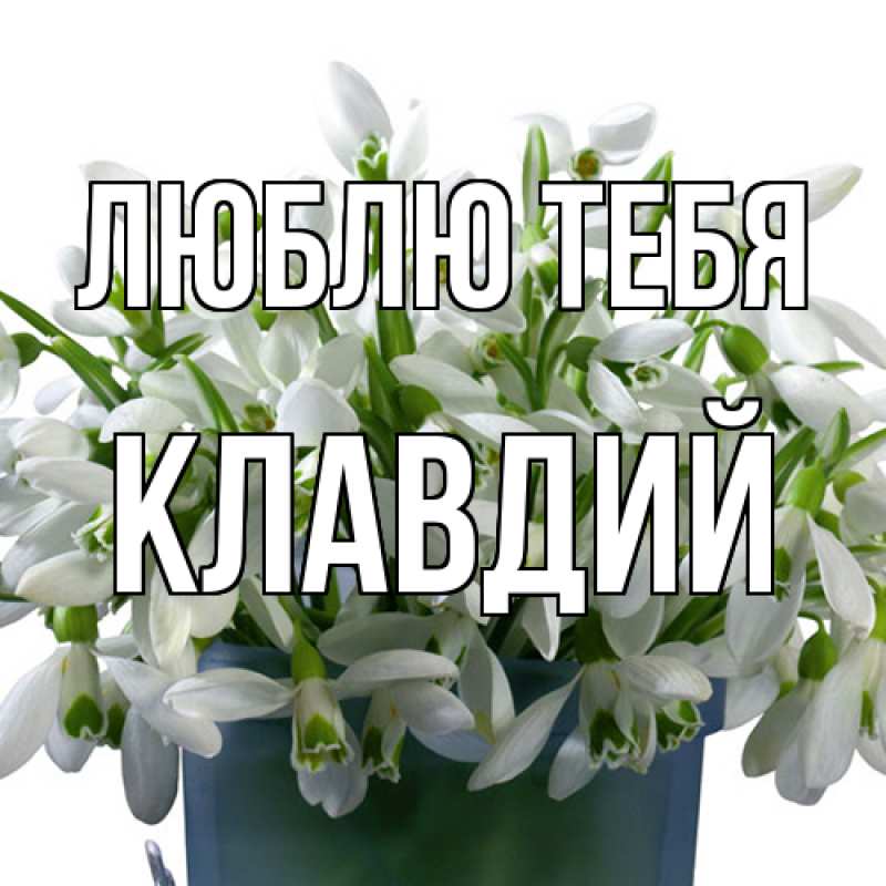 Картинка Люблю тебя, Клавдий