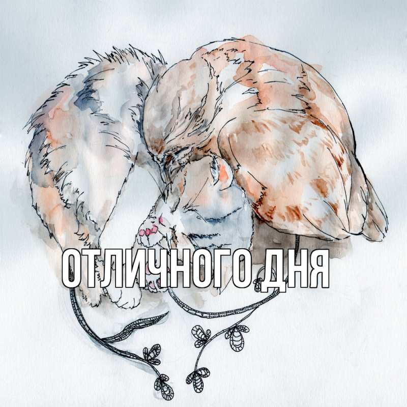 Открытка с именем, Оля, Обнимашки