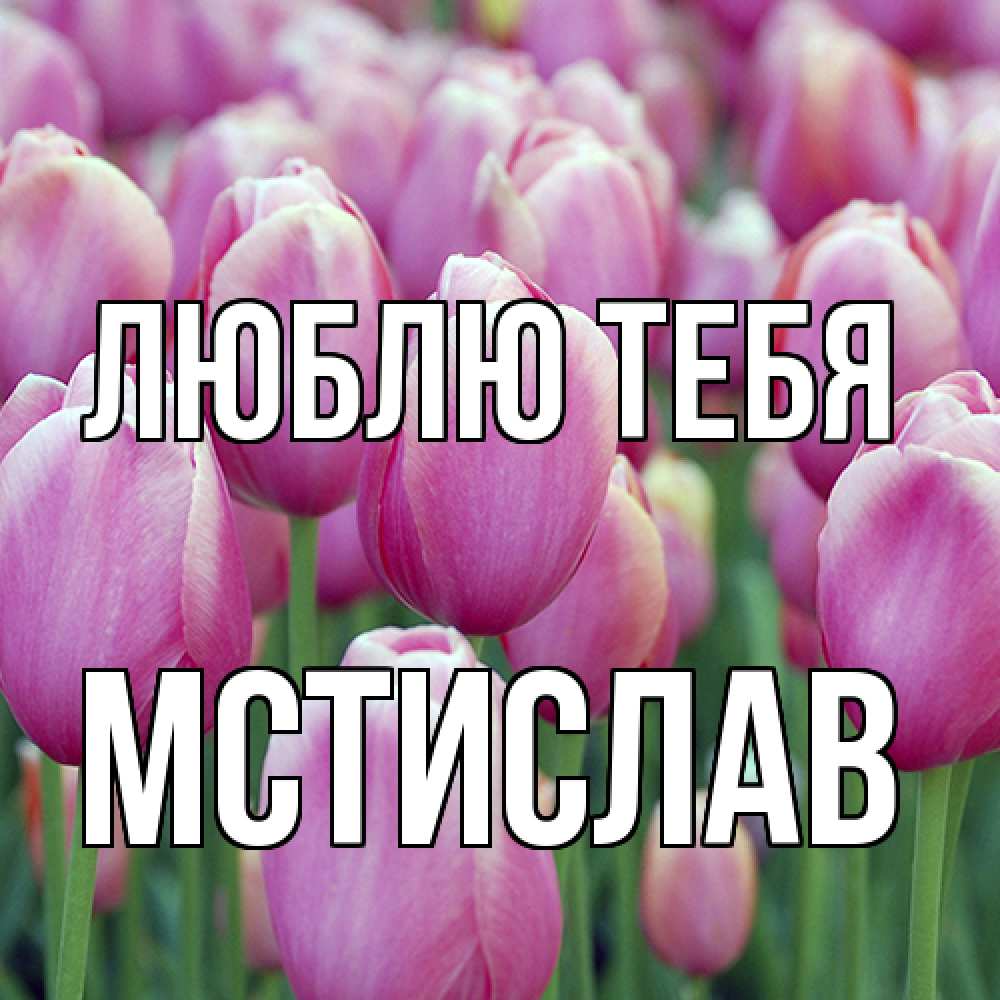 Открытка на каждый день с именем, Мстислав Люблю тебя на международный женский день 3 Прикольная открытка с пожеланием онлайн скачать бесплатно 