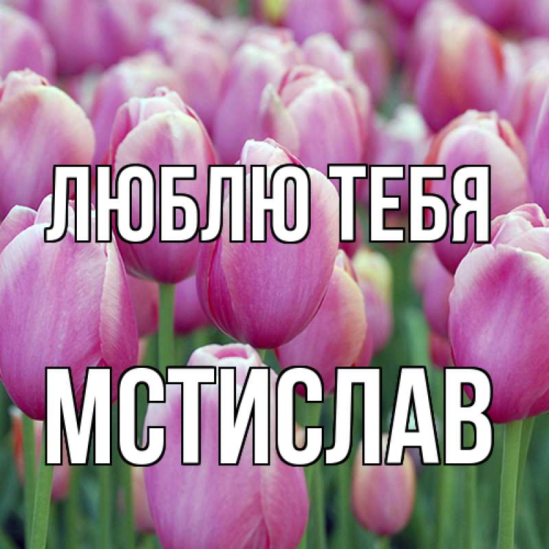 Картинка Люблю тебя, Мстислав