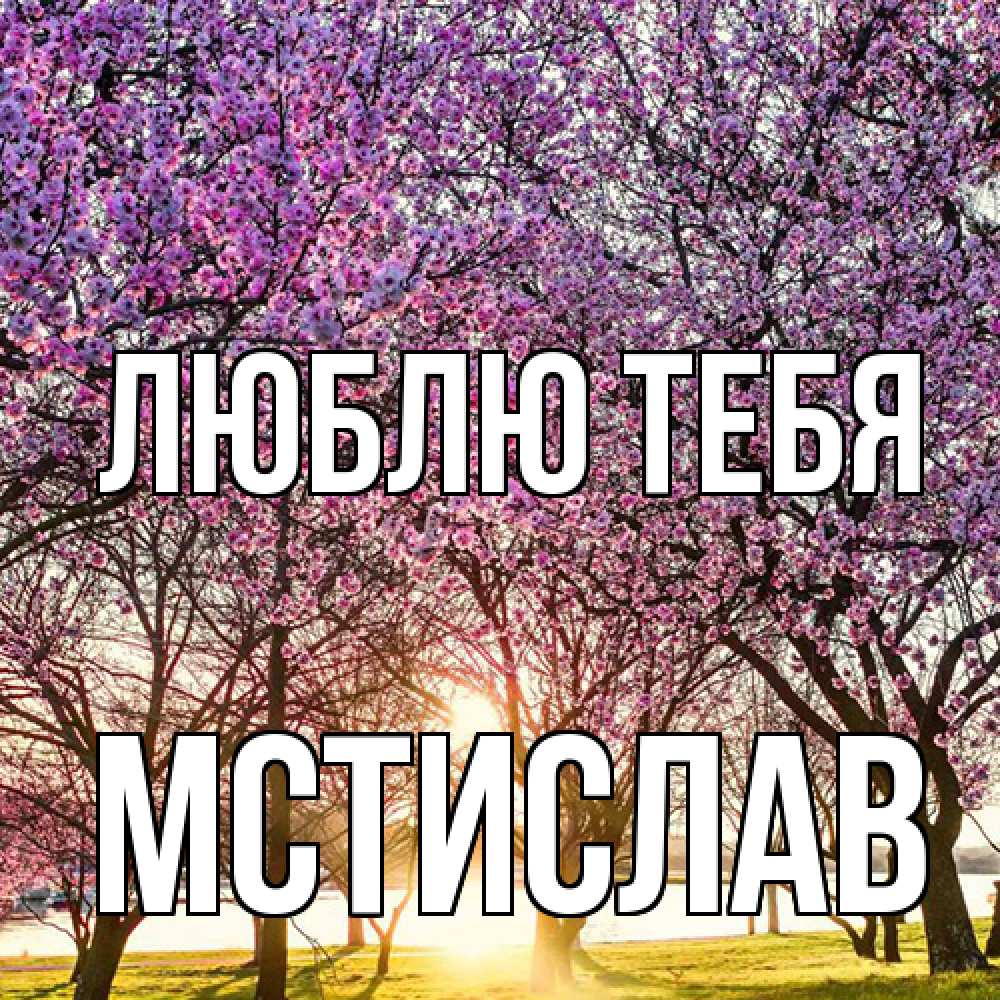 Открытка на каждый день с именем, Мстислав Люблю тебя международный женский день Прикольная открытка с пожеланием онлайн скачать бесплатно 