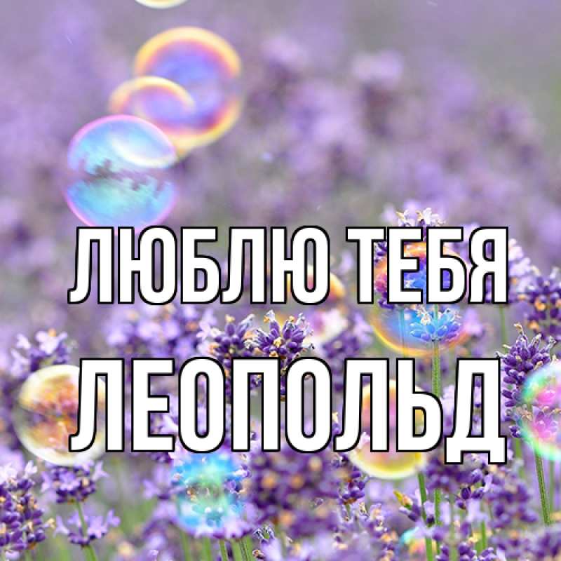 Картинка Люблю тебя, Леопольд