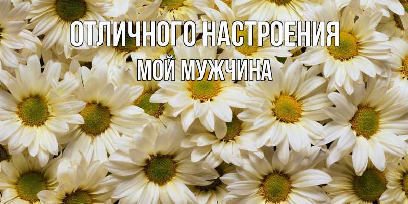 Открытка с именем, Мой мужчина, Отличного настроения