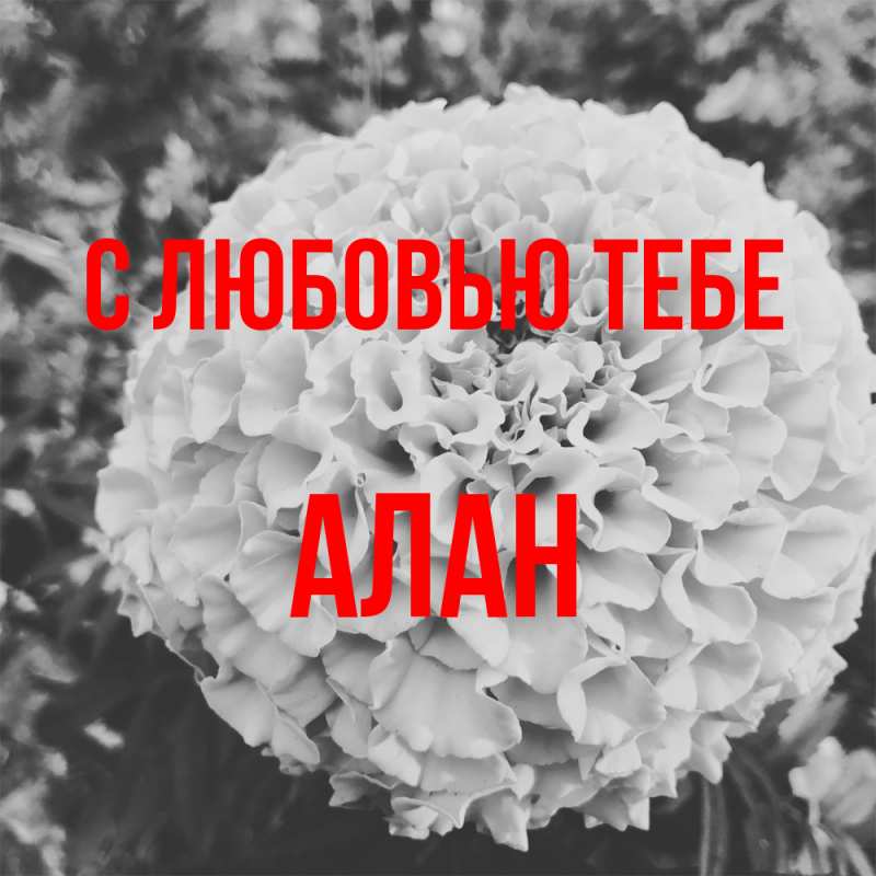 Картинка С любовью тебе, Алан