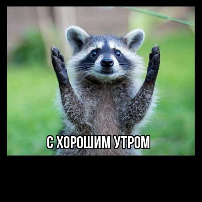 Картинка Как дела, Сандра