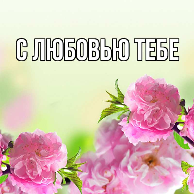 Картинка Люблю тебя, Ева