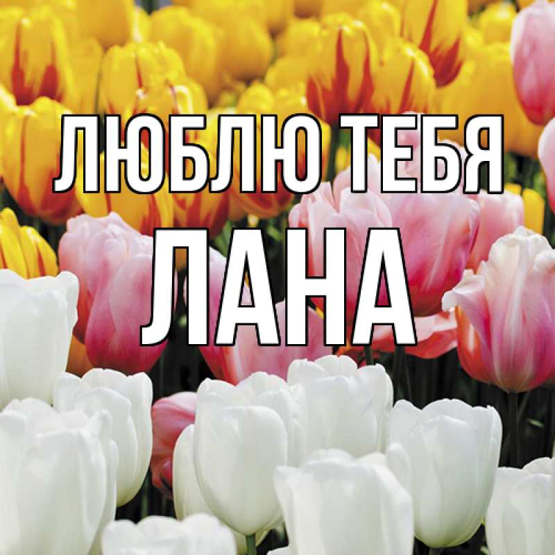 Картинка Люблю тебя, Лана