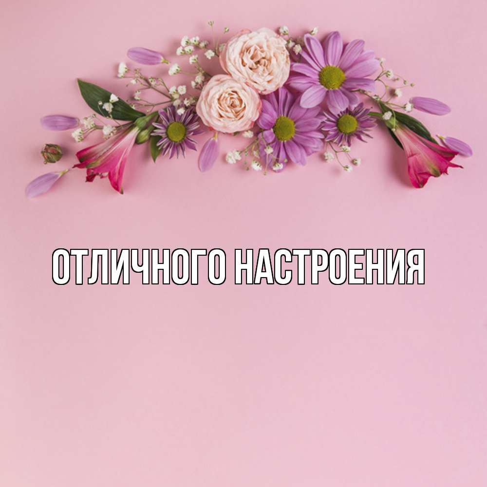 Открытка на каждый день с именем, Радосвета Удачи тебе розовый фон Прикольная открытка с пожеланием онлайн скачать бесплатно 