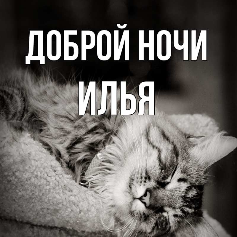 Картинка Доброй ночи, Илья