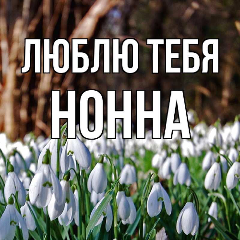 Картинка Люблю тебя, Нонна