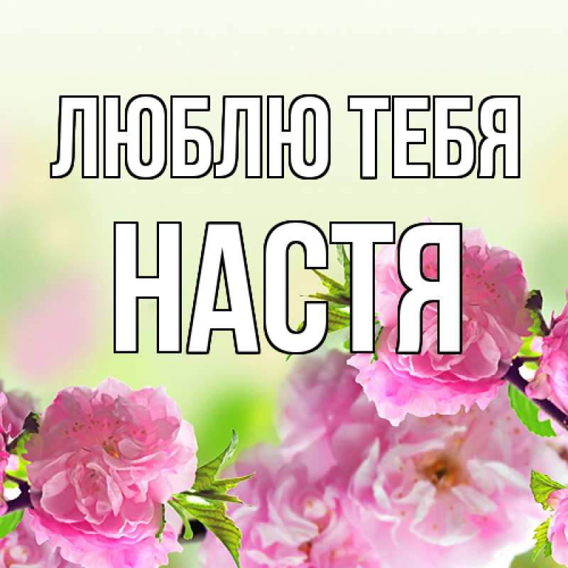 Картинка Люблю тебя, Настя