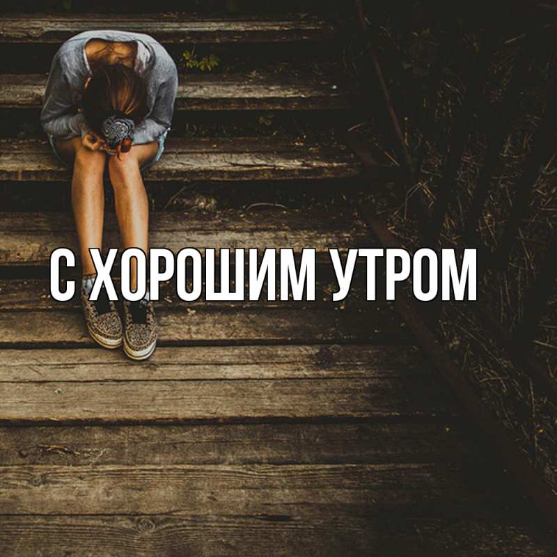 Картинка Скучашки, Дамира