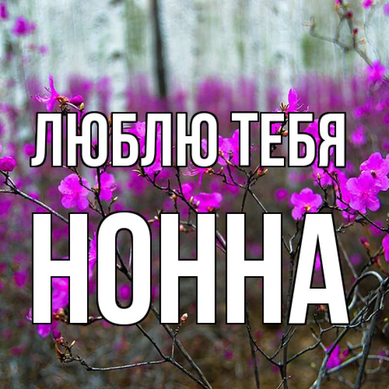 Картинка Люблю тебя, Нонна