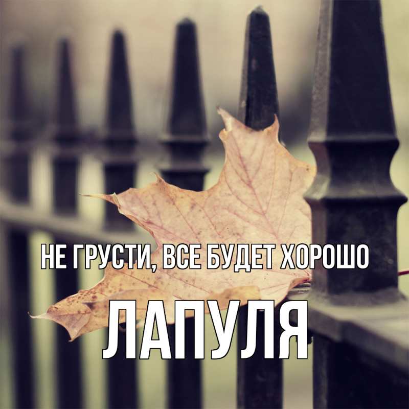 Картинка Не грусти, все будет хорошо, Лапуля