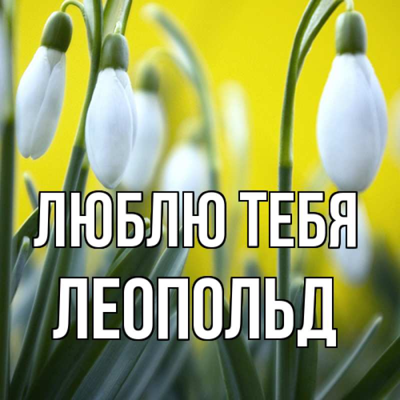 Картинка Люблю тебя, Леопольд