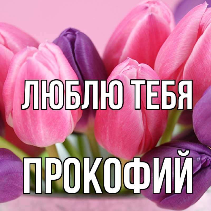 Картинка Люблю тебя, Прокофий