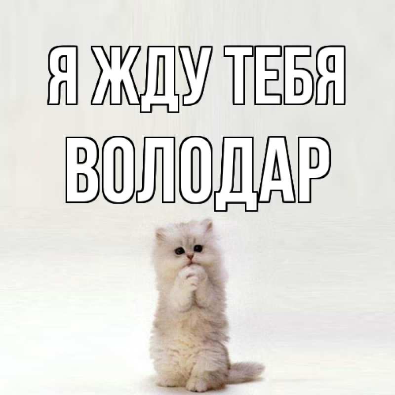 Открытка с именем, Володар, Я жду тебя