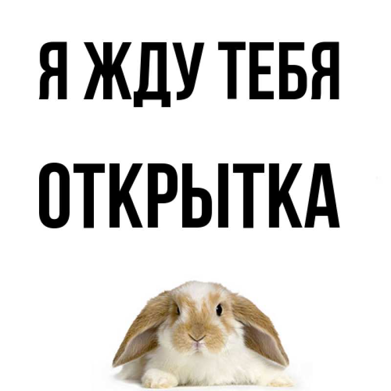 Картинка Я жду тебя, открытка