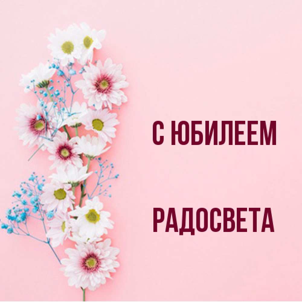 Открытка на каждый день с именем, Радосвета C юбилеем Родная моя с днем рождения тебя картинка с цветами белыми и голубыми Прикольная открытка с пожеланием онлайн скачать бесплатно 