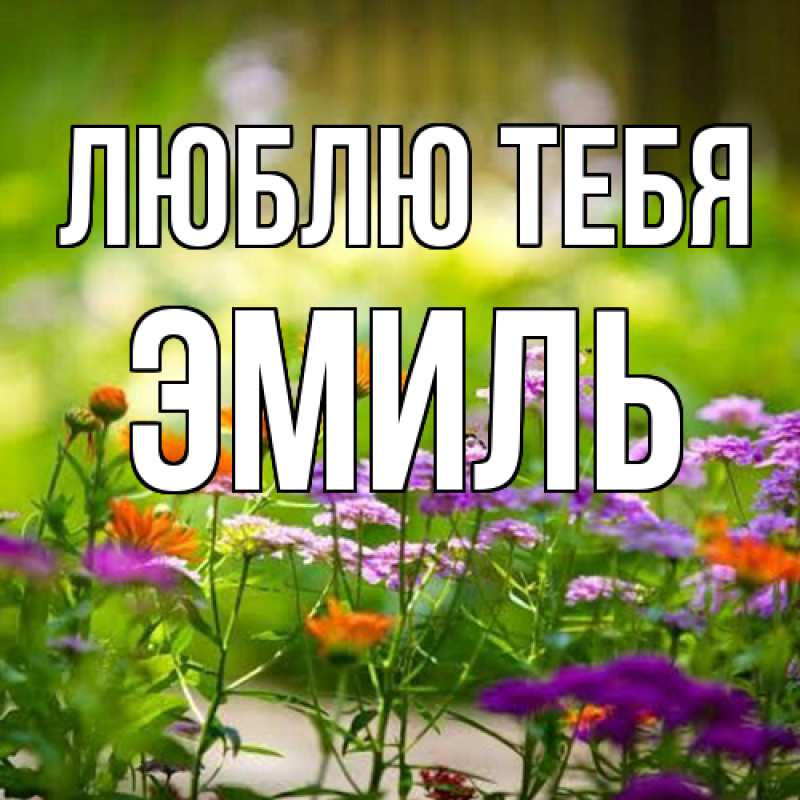 Картинка Люблю тебя, Эмиль