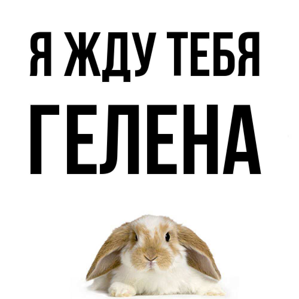 Открытка на каждый день с именем, Гелена Я жду тебя подписать своими руками онлайн Прикольная открытка с пожеланием онлайн скачать бесплатно 