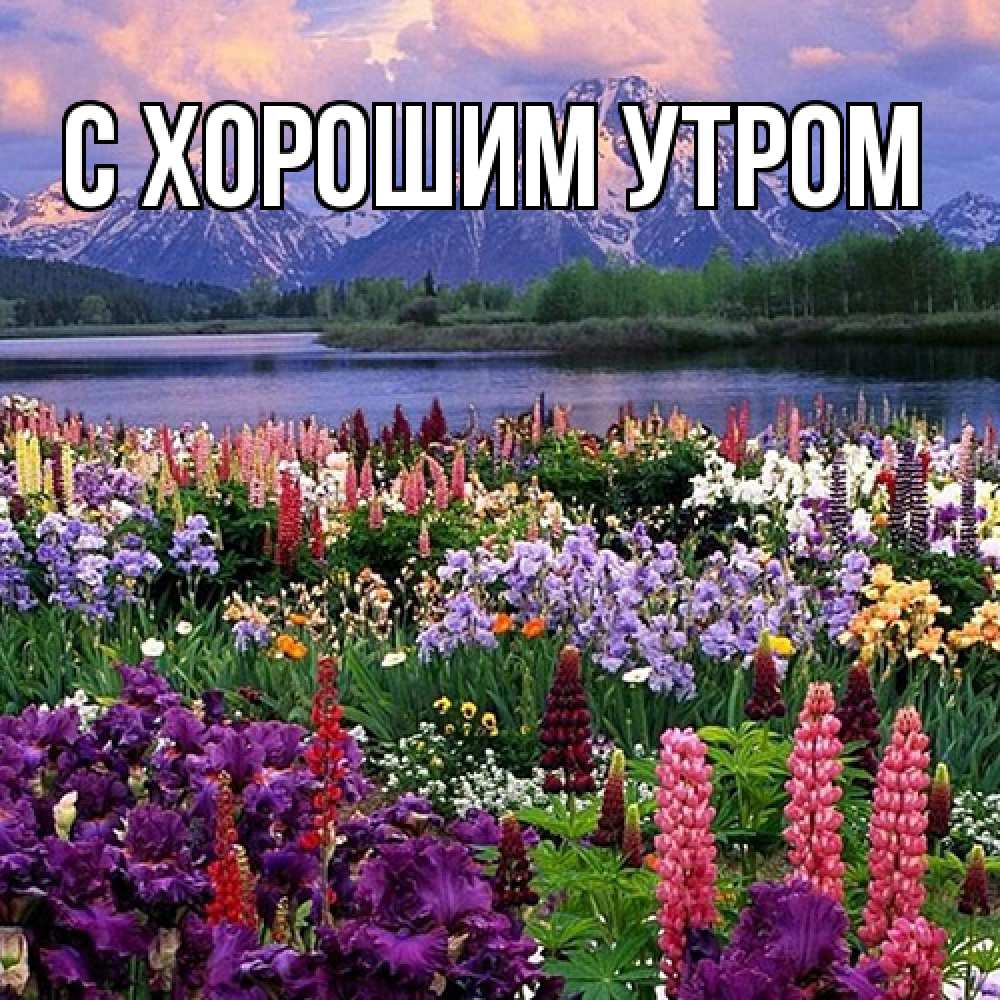 Открытка на каждый день с именем, Исай Люблю тебя международный женский день Прикольная открытка с пожеланием онлайн скачать бесплатно 