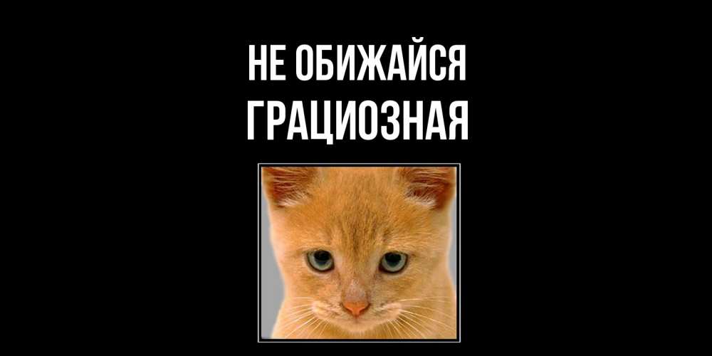 Открытка на каждый день с именем, Грациозная Не обижайся рыжий грустный кот просит прощения Прикольная открытка с пожеланием онлайн скачать бесплатно 