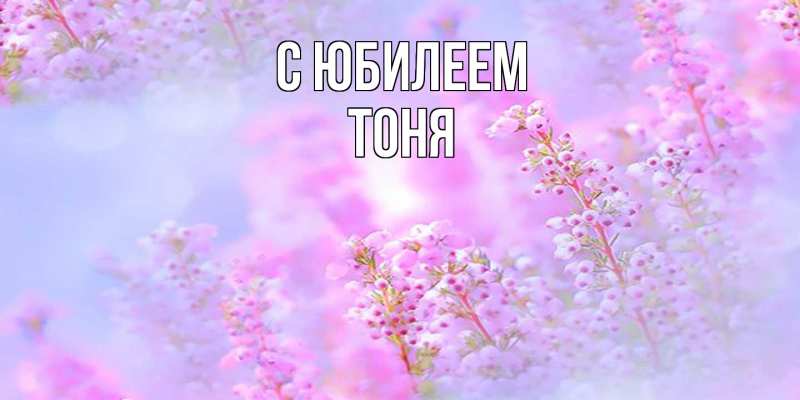 Картинка C юбилеем, Тоня