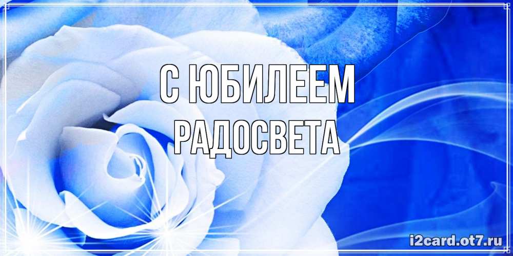 Открытка на каждый день с именем, Радосвета C юбилеем белая роза на голубом фоне Прикольная открытка с пожеланием онлайн скачать бесплатно 