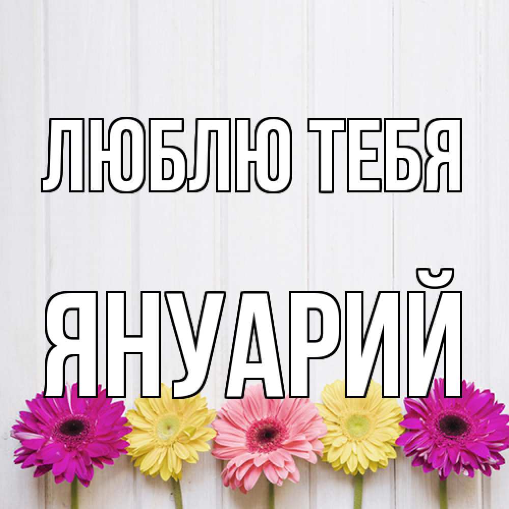 Открытка на каждый день с именем, Януарий Люблю тебя женщинам 1 Прикольная открытка с пожеланием онлайн скачать бесплатно 
