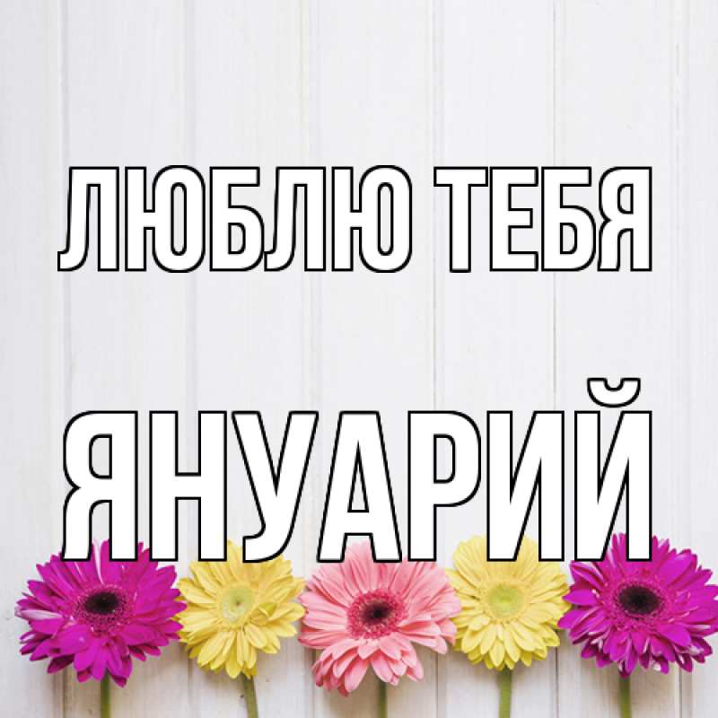 Картинка Люблю тебя, Януарий