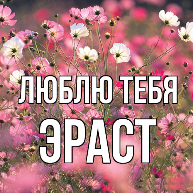 Открытка с именем, Эраст, Люблю тебя