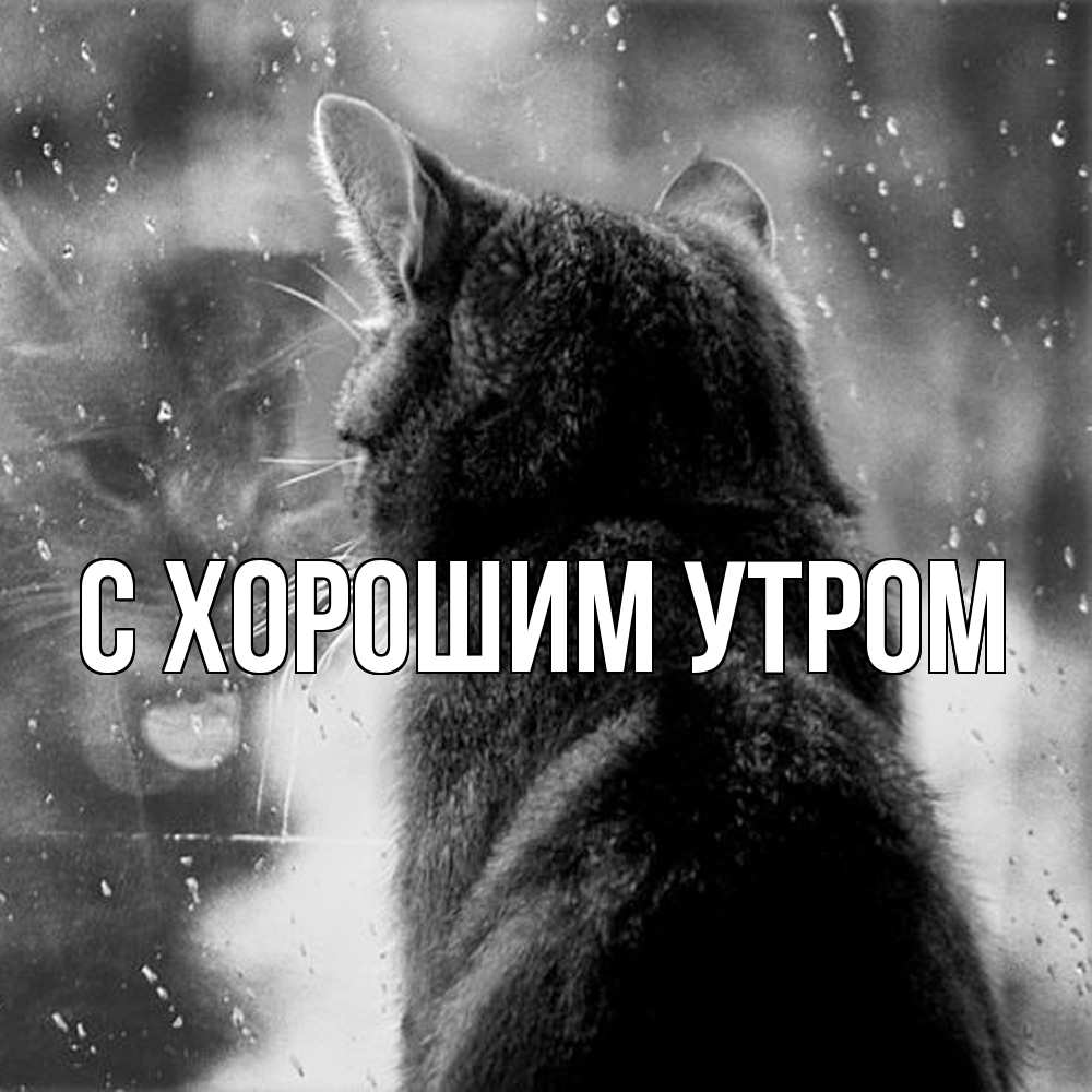 Открытка на каждый день с именем, Рафаил Скучашки скорее ко мне приходи 1 Прикольная открытка с пожеланием онлайн скачать бесплатно 